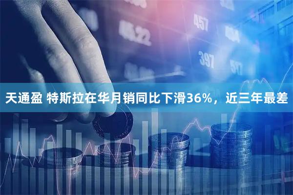天通盈 特斯拉在华月销同比下滑36%，近三年最差