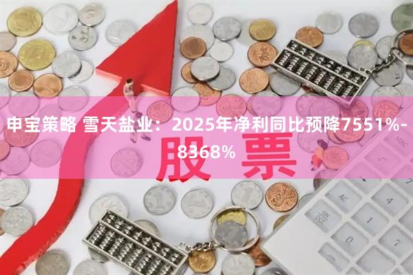 申宝策略 雪天盐业：2025年净利同比预降7551%-8368%