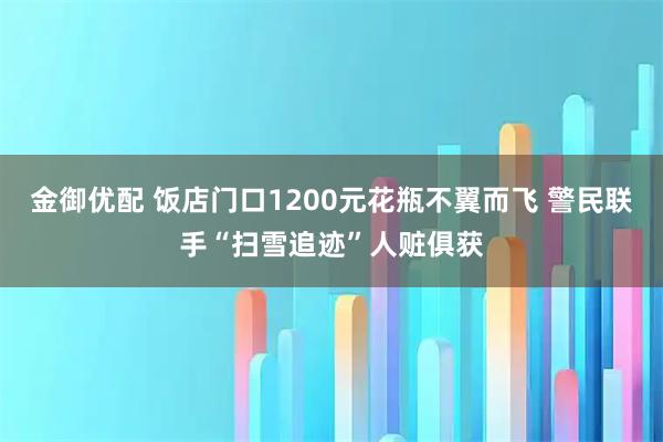 金御优配 饭店门口1200元花瓶不翼而飞 警民联手“扫雪追迹”人赃俱获