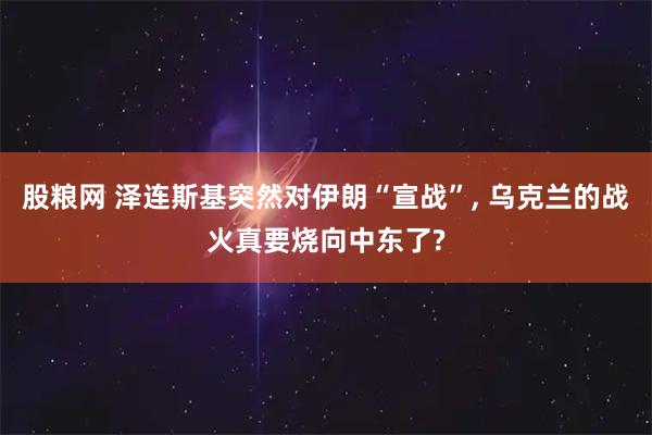 股粮网 泽连斯基突然对伊朗“宣战”, 乌克兰的战火真要烧向中东了?